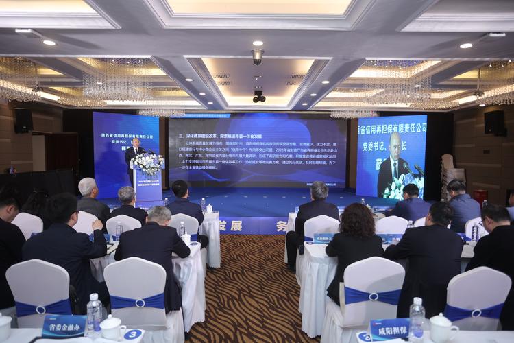 2024陕西省政府性融资担保体系业务推进会召开 助推实体经济高质量